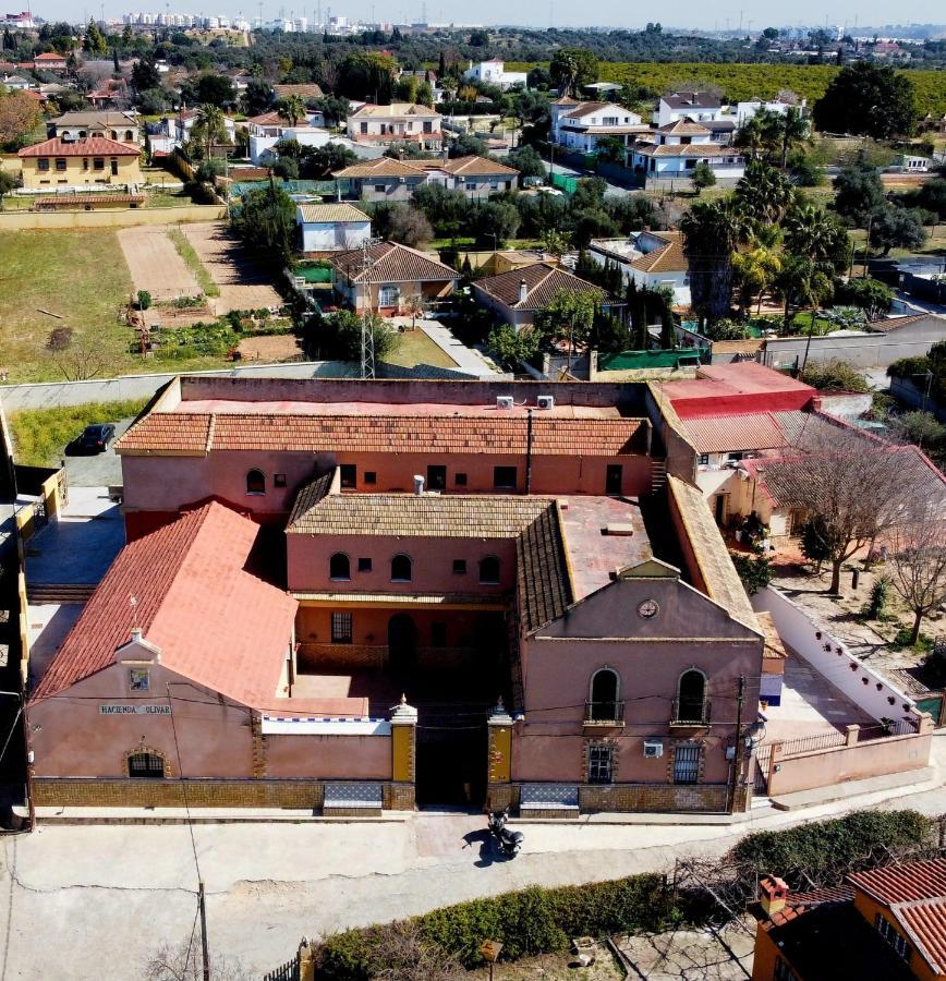 Casa Cortijo Olivar Sevilla Kültér fotó